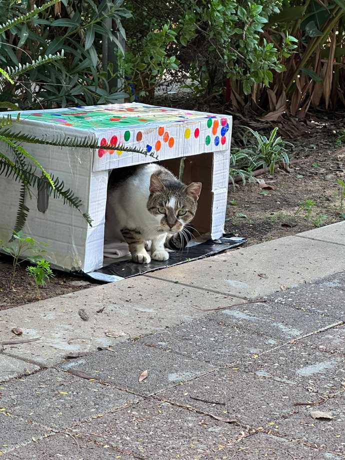 cat shelter 2